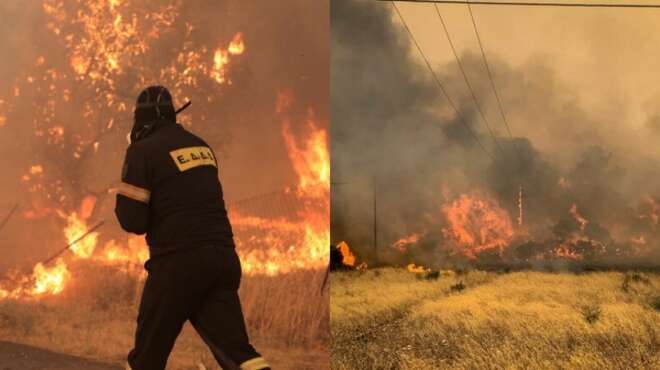 έκτακτο-στη-μαγνησία-εντοπίστηκε-νεκ-26346