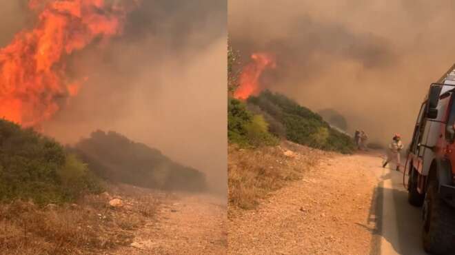 μόνο-θλίψη-δυστυχώς-κάηκε-το-καταφύγι-24236