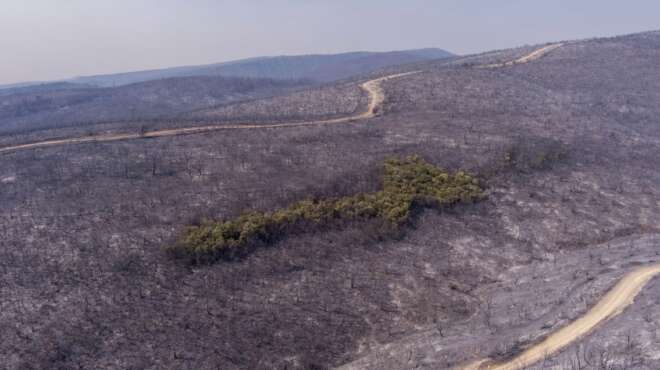 χρειάζεται-πάνω-από-150-χρόνια-για-να-επ-33462