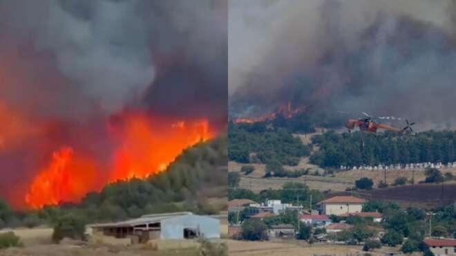 στάχτη-και-αποκαΐδια-στον-αβάντα-κάηκ-32051