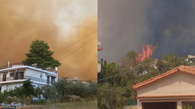 στάχτη-όλη-η-ελλάδα-μεγάλη-πυρκαγιά-32127