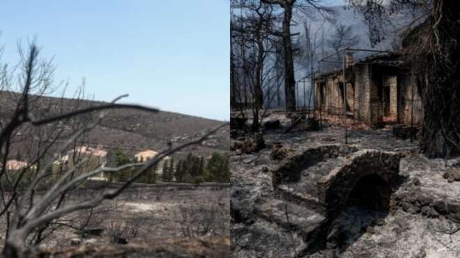 πυρκαγιά-στον-έβρο-τι-προβλέπει-η-πολι-33513