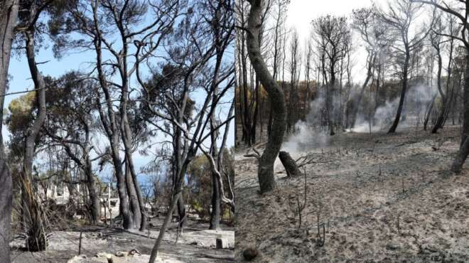 ανυπολόγιστη-καταστροφή-στην-φύση-πε-32685