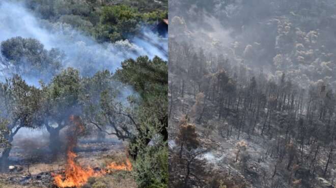 στάχτη-πάνω-από-600-000-στρέμματα-η-αττική-έ-33302