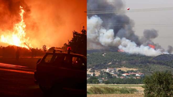 συγκλονίζει-μελισσοκόμος-απο-τη-φωτι-32710