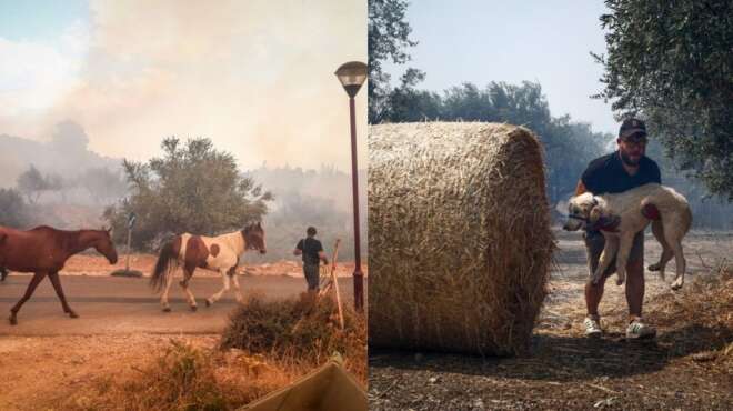 εικόνες-που-συγκλονίζουν-από-τη-φωτιά-32194