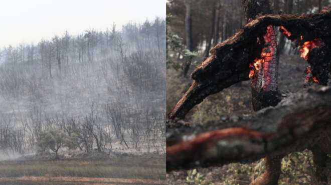 έκτακτο-από-τη-φωτιά-στον-έβρο-δύο-παιδ-32240