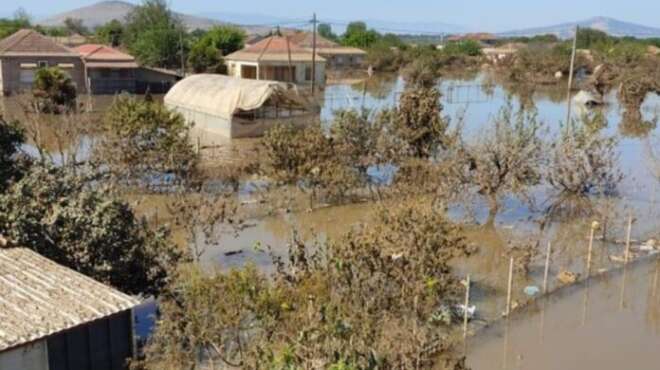 κρούσματα-σαλμονέλας-στη-χώρα-μας-πού-35584